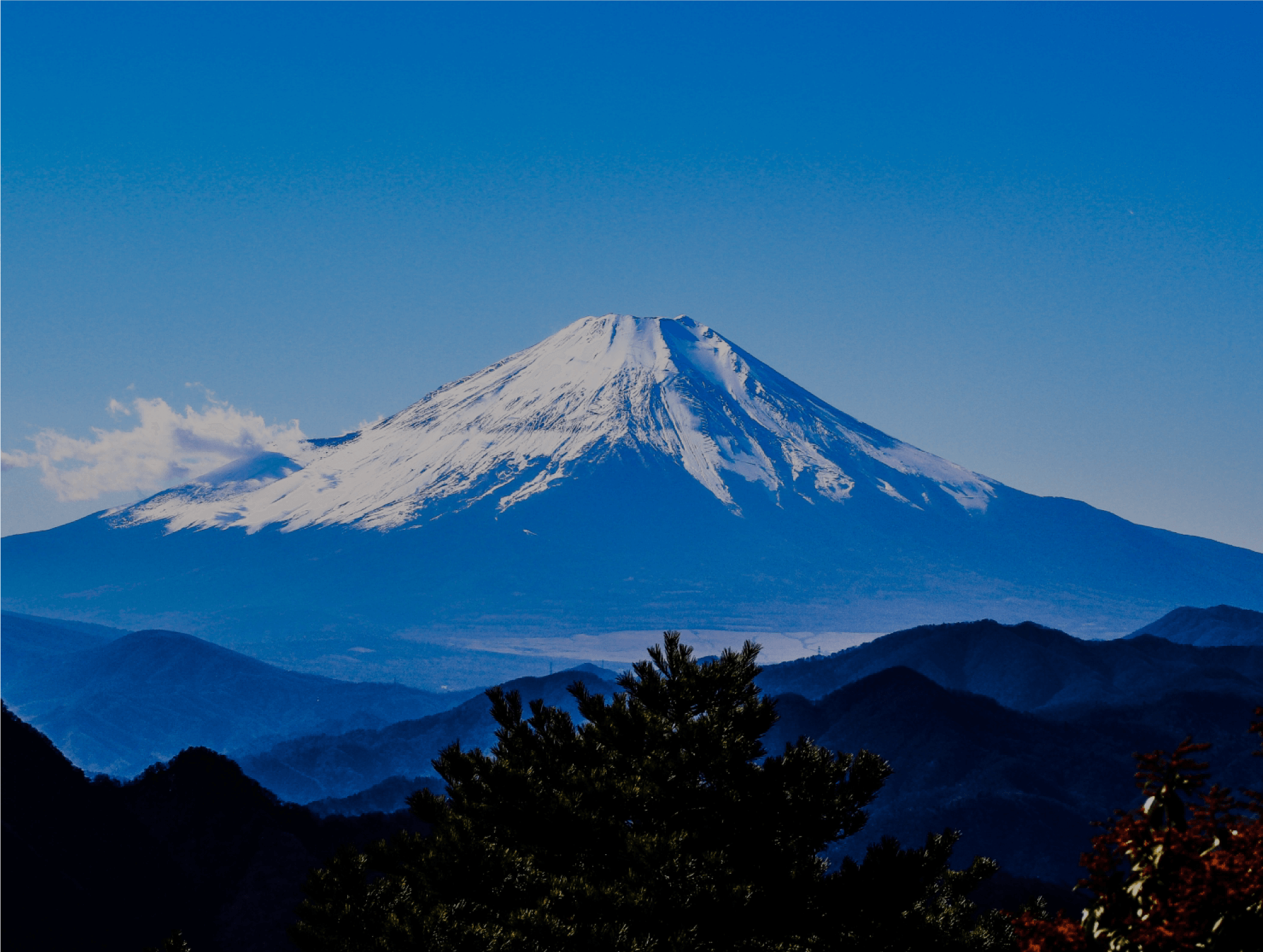 Mount Fuji is in front of you!