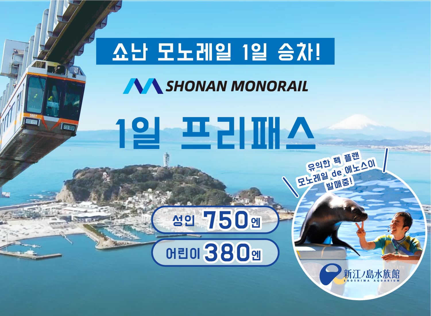 空から海へ。湘南モノレール