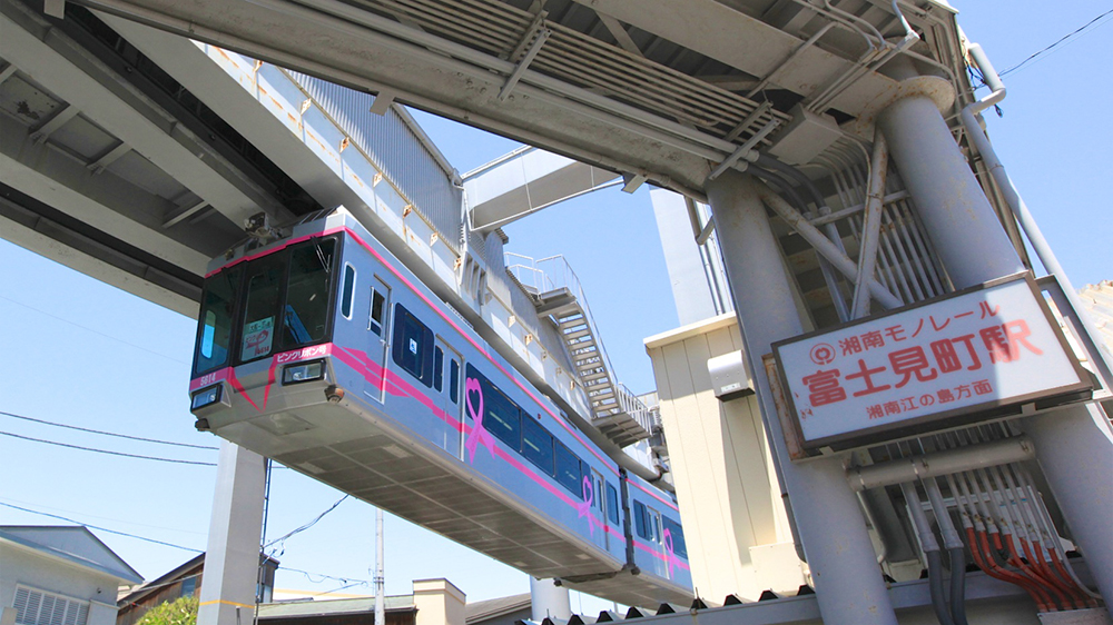 fujimicho station